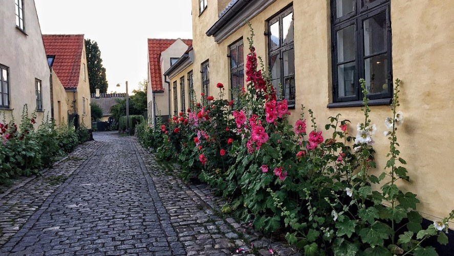 Dragør fra Pixabay 887